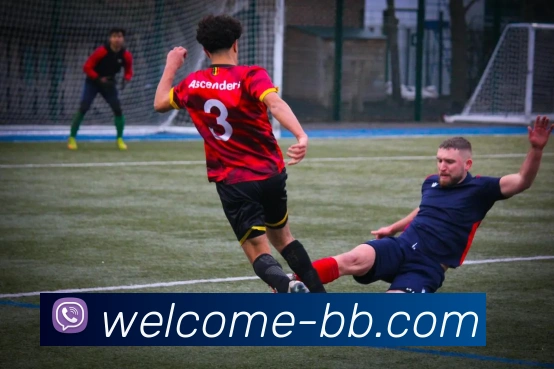 体育数据展示