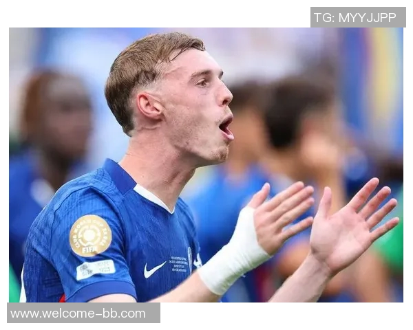 乔科尔呼吁切尔西重视发展与胜利并重应该留住帕尔默